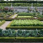 10 советов для создания идеального огорода – секреты успешного ландшафтного дизайна и ухода за растениями