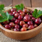 Купить саженцы крыжовника: советы для успешного выращивания
